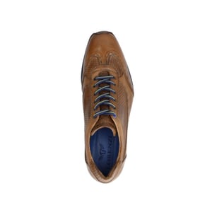Lorenzi 4301