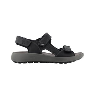 Ara 11-21506 piero