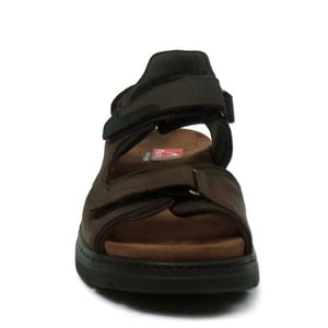 Fluchos F1773