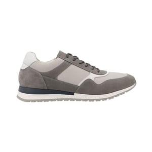 Ara 11-26901 gino