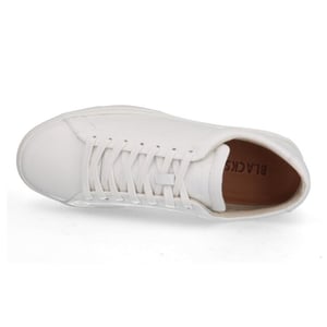 Blackstone Dg514.whit cobble