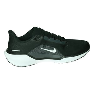 Nike Pegasus 41
