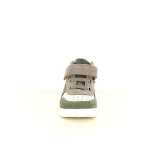 Develab 44339