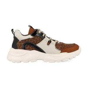 Braqeez Robin run 421792-513