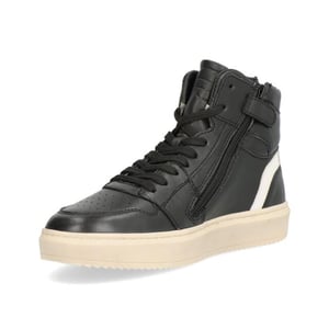Gattino G1665