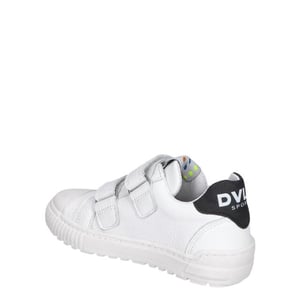 Develab 45959