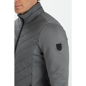 Falcon tarpo -