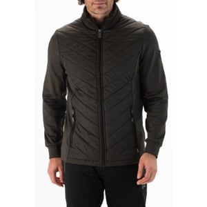 Falcon Hardy hardy-b044