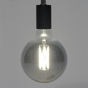 Hoyz Lichtbron led filament bol Ø12 5 e27 6w dimbaar / smoke grey glas