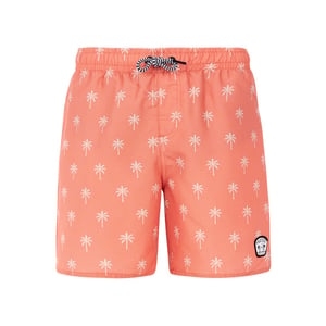Protest prtfonz jr beachshort -