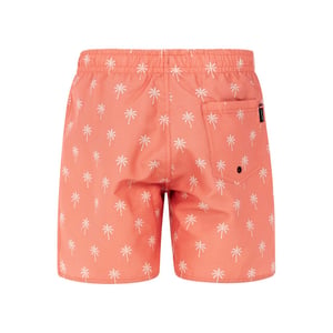 Protest prtfonz jr beachshort -