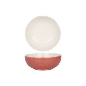 Rinart Diepbord rosa porselein 23 cm (2000cc) set van 6