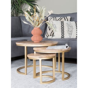 Home67 Salontafel set van 3 industriële salontafelset erjan goud