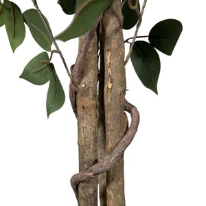 Kopu ® kunstplant ficus 120 cm in pot 630 bladeren met natuurstam