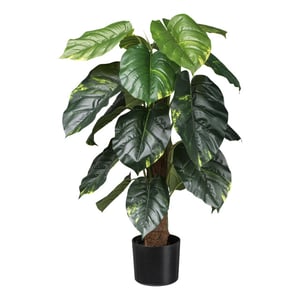 Kopu ® kunstplant pilondendron scandens 90 cm -