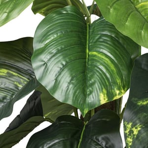 Kopu ® kunstplant pilondendron scandens 90 cm -