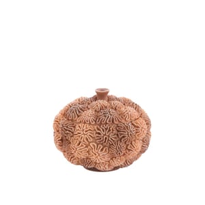 Light & Living deco box+deksel coral Ø20x15.5cm -
