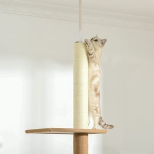 4goodz Pawhut krabpaal plafondhoog 228-260 cm verstelbaar klimboom voor katten