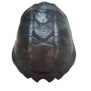 Furnilux katana large schildpad