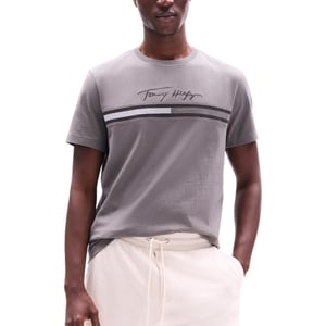 Tommy Hilfiger Mens T Shirts Signature Tonal Flag Logo Summer Cotton Tino Tee