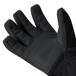 Dare 2B Freeride waterdichte handschoenen voor volwassenen (Afb.)