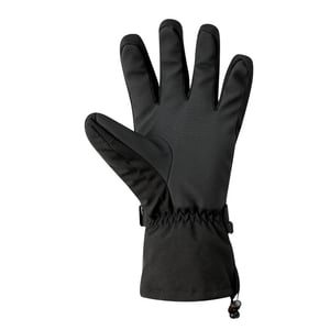 Dare 2B Heren Pinnacle Waterdichte Skihandschoenen (Zwart)