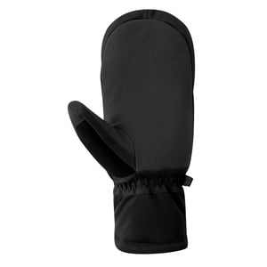 Dare 2B Freeride waterdichte wanten voor volwassenen (Zwart)