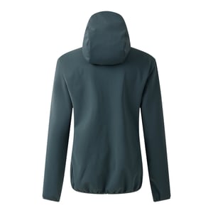 Dare 2B Womens/Ladies Iced Soft Shell Jacket (Element Grey)