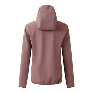 Dare 2B Womens/Ladies Iced Soft Shell Jacket (Heather)