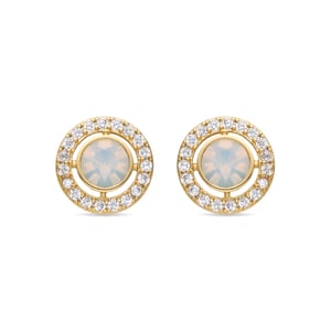 Luxenter Oorbellen met Glimmende Zirkonia 18k goud afwerking - Riashe