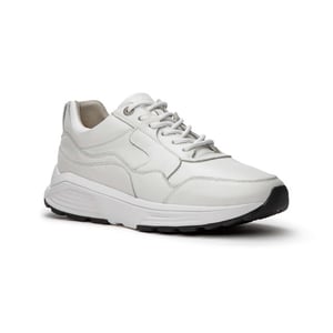 Xsensible Golden gate men h