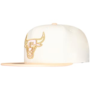 Mitchell & Ness NBA Chicago Bulls Lovers Lane Cap