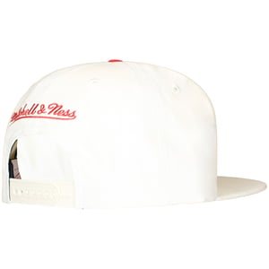 Mitchell & Ness NBA Los Angeles Lakers Reframe Retro Cap
