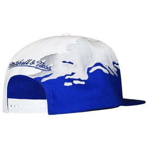 Mitchell & Ness NCAA Duke Blue Devils Paintbrush Cap