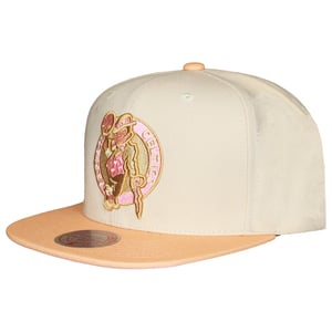 Mitchell & Ness NBA Boston Celtics Lovers Lane Cap