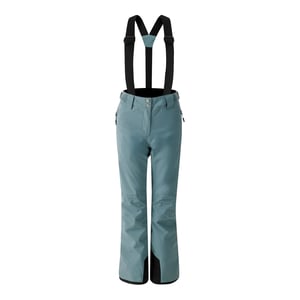 Dare 2B Womens/Ladies Effused II Waterproof Ski Trousers (Element Grey)