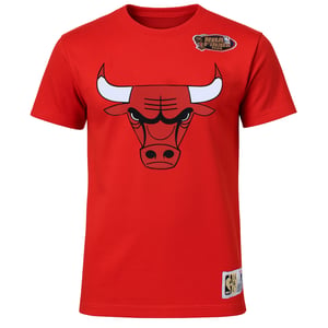 Mitchell & Ness NBA Chicago Bulls Origins Mens Red T-Shirt