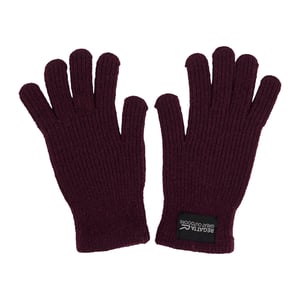 Regatta Volwassen unisex Connora-handschoenen (Afb.)