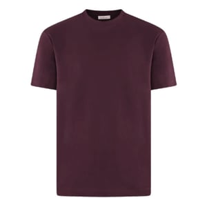 Valenza Heren interlock supima t-shirt rood