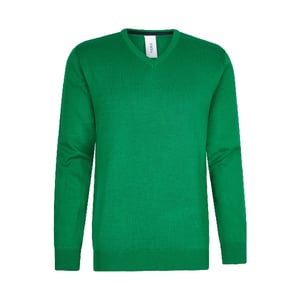 Hønk Pullover met v-hals
