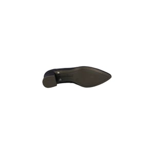 Paul Green 3806-036 pumps