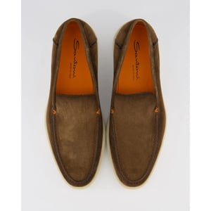 Santoni Heren botanist