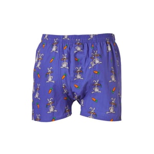 Happy Shorts X heren wijde boxershort met binnenbroek haas print