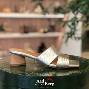 AVDB Damesschoenen slippers