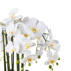 Kopu ® kunstbloem orchidee 54 cm met schaal phalenopsis