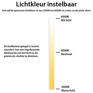 Vtw Living Badkamerspiegel rond 80 cm met verlichting en verwarming messing metalen