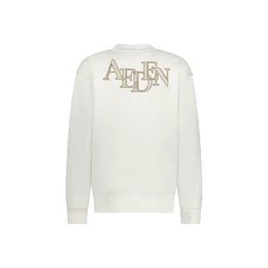 Aeden Fox sweater off