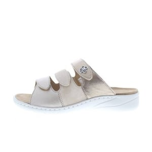 Solidus Wellness spezial
