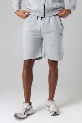 Light Grey Regular Fit Cotton Blend Fleece Shorts With Drawstring Waist