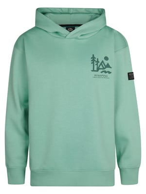 Petrol Industries - Jongens Grafische Hoodie Deschutes - Blauw
